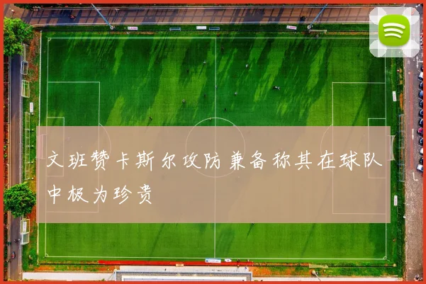 文班赞卡斯尔攻防兼备称其在球队中极为珍贵